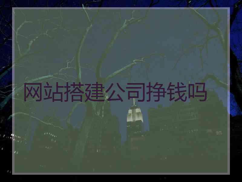 网站搭建公司挣钱吗