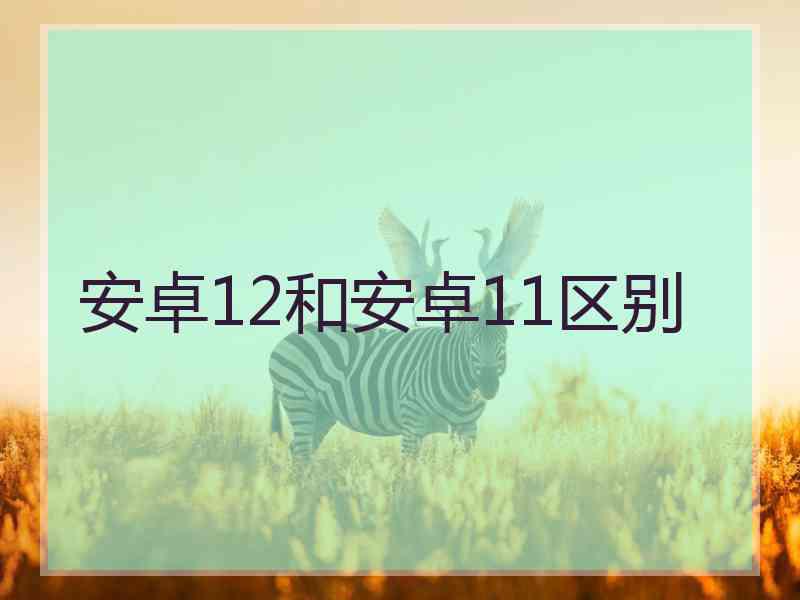 安卓12和安卓11区别
