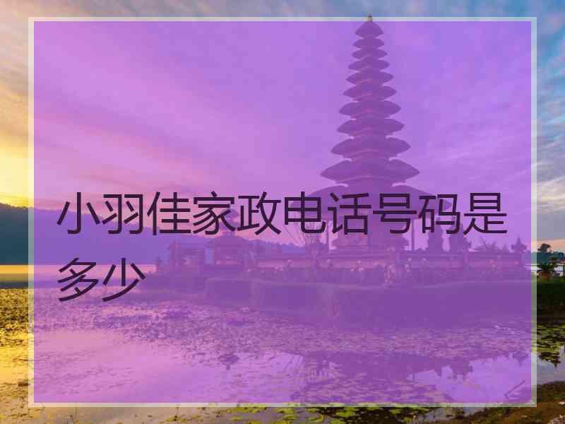 小羽佳家政电话号码是多少