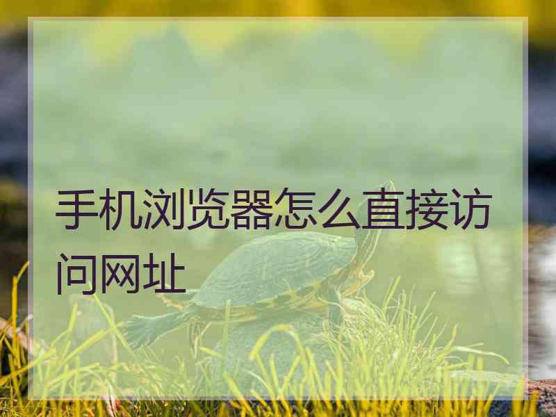 手机浏览器怎么直接访问网址