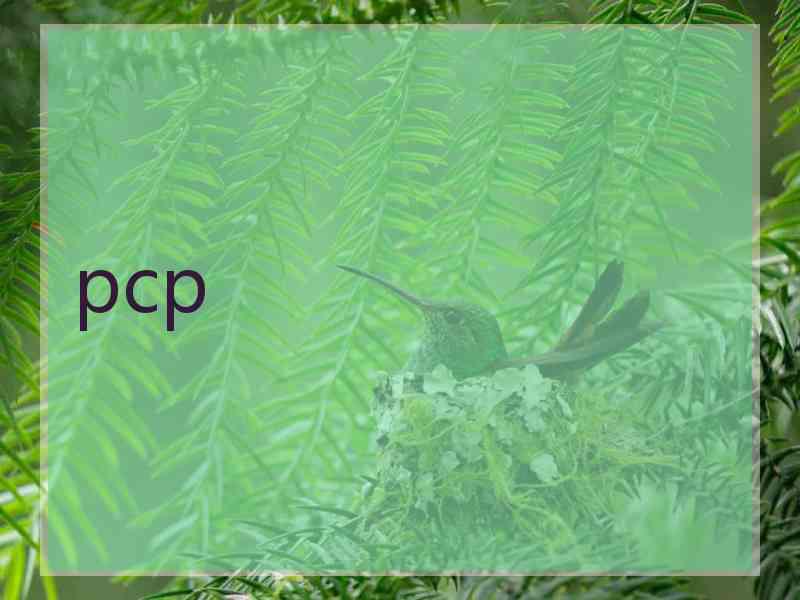pcp