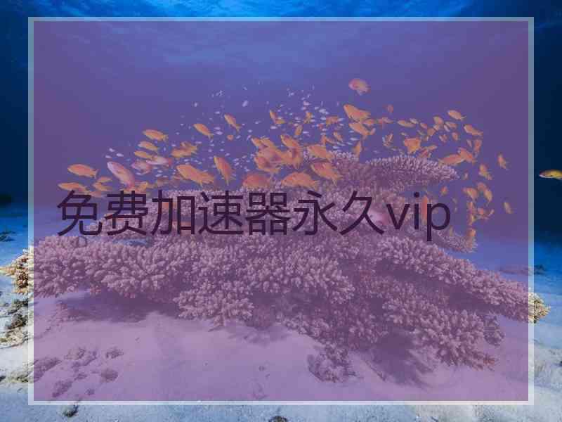 免费加速器永久vip