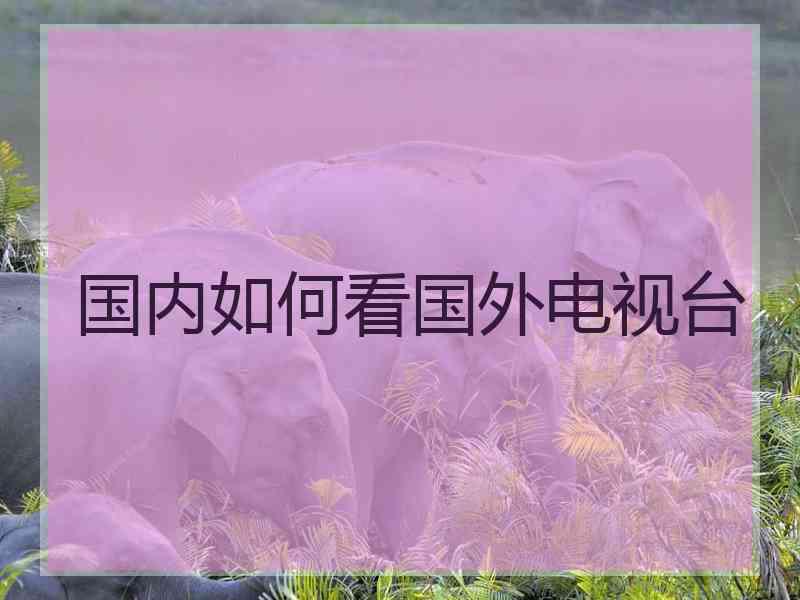 国内如何看国外电视台