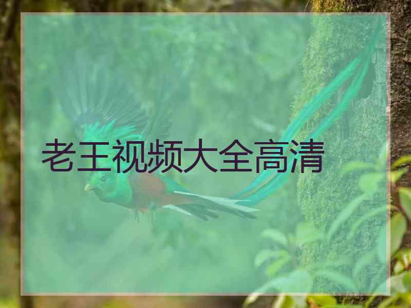 老王视频大全高清