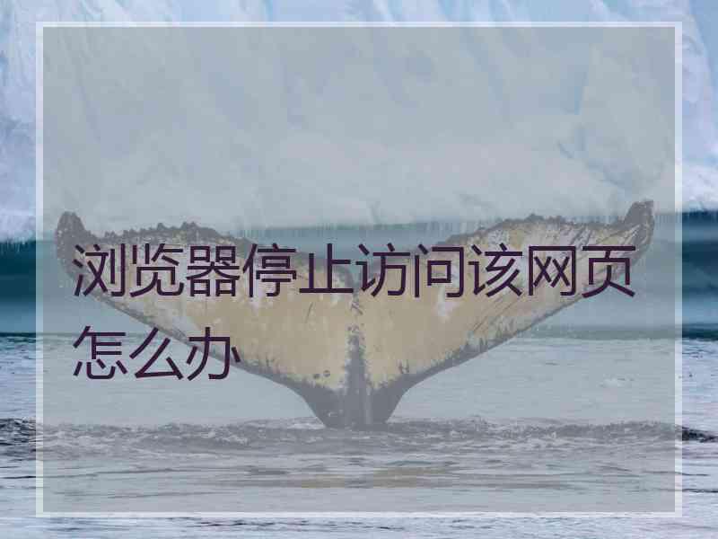 浏览器停止访问该网页怎么办