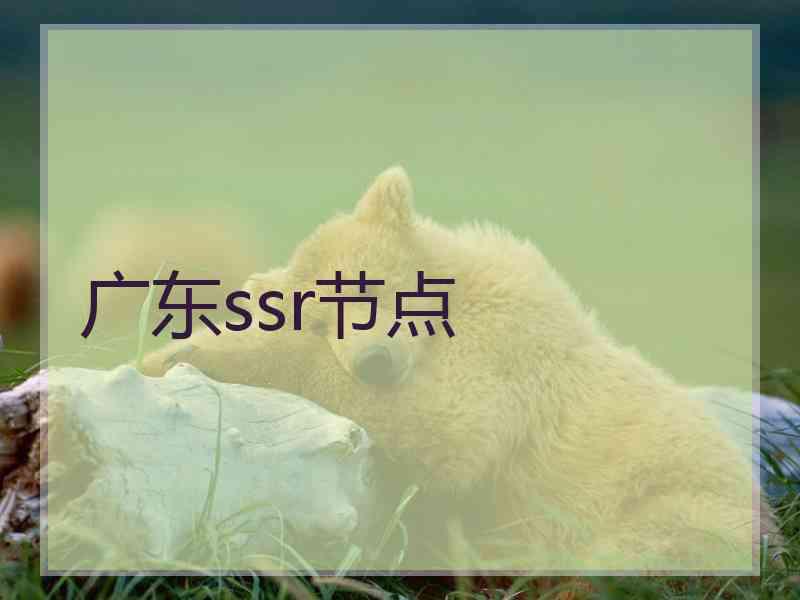 广东ssr节点