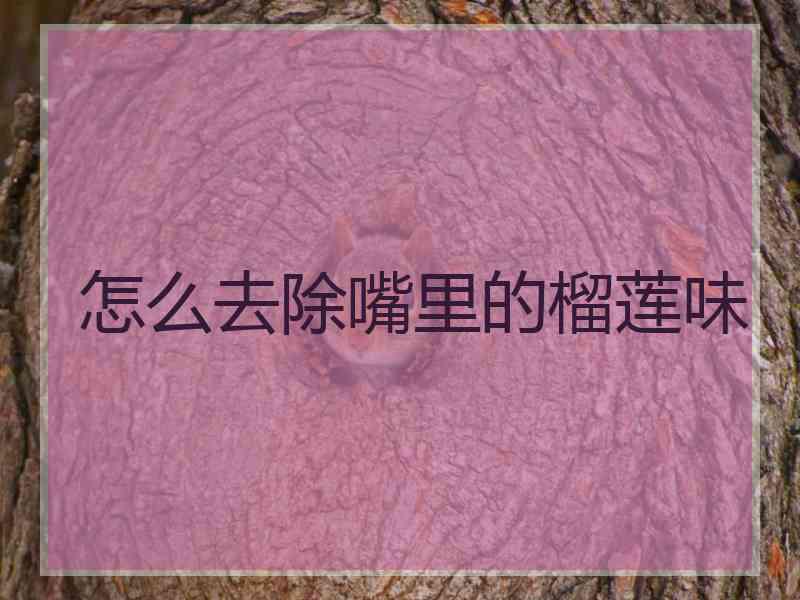怎么去除嘴里的榴莲味