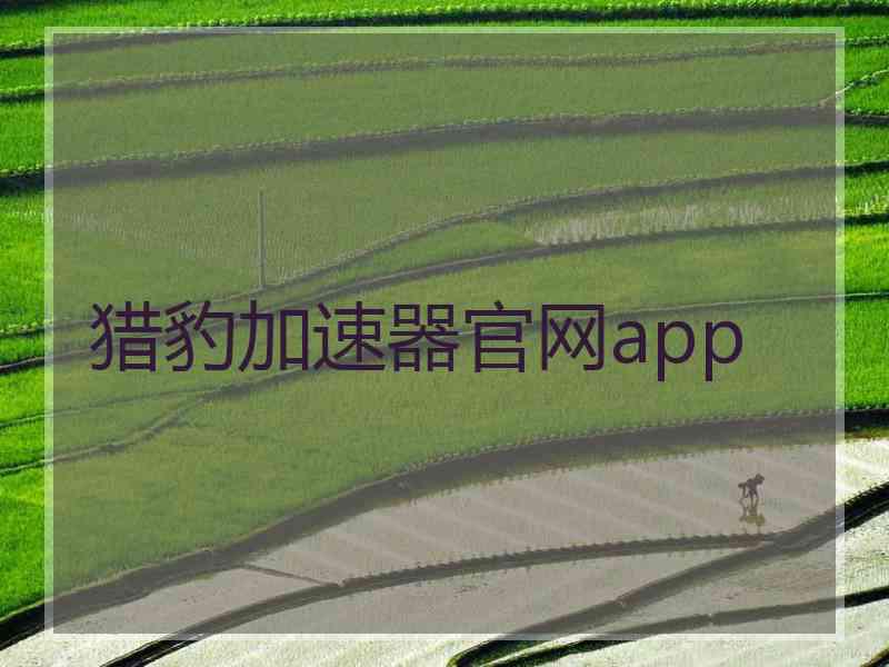 猎豹加速器官网app