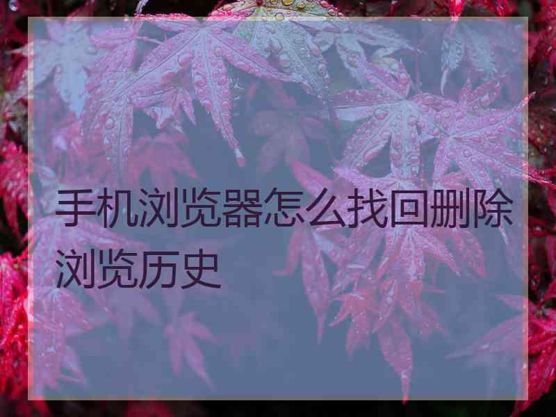 手机浏览器怎么找回删除浏览历史