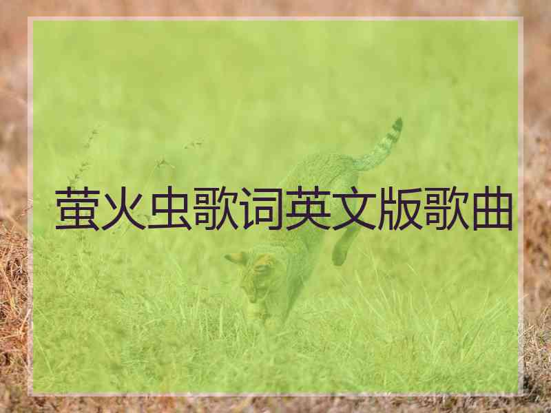 萤火虫歌词英文版歌曲