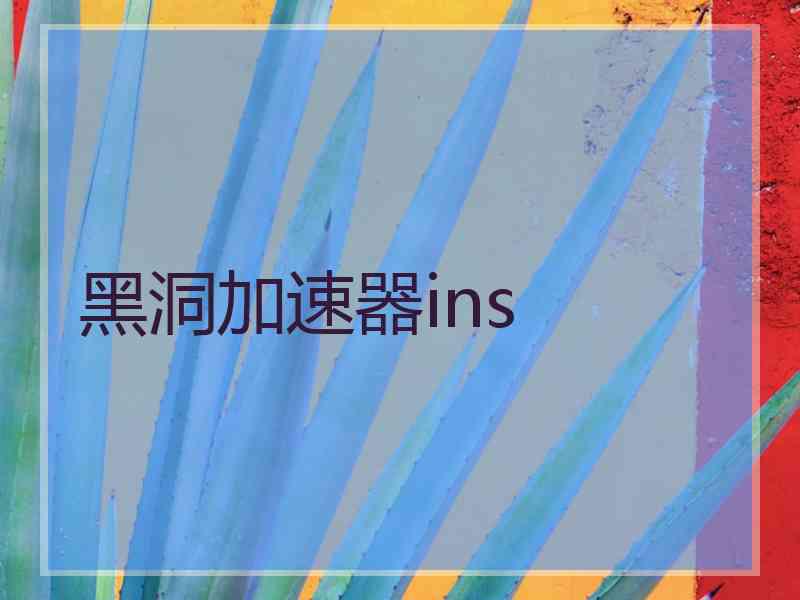 黑洞加速器ins