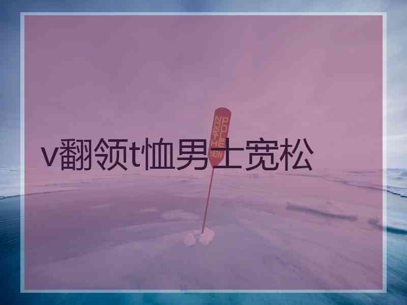 v翻领t恤男士宽松
