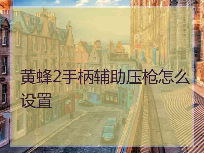 黄蜂2手柄辅助压枪怎么设置