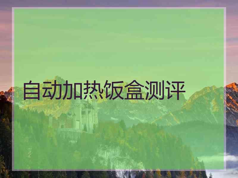 自动加热饭盒测评