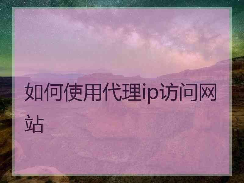 如何使用代理ip访问网站