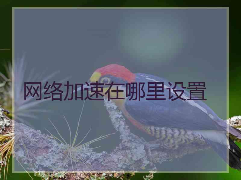 网络加速在哪里设置