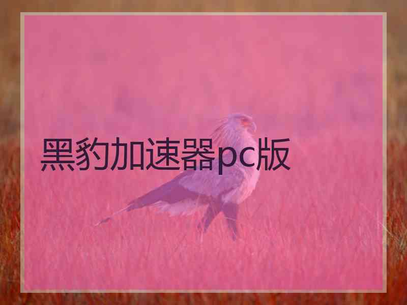 黑豹加速器pc版