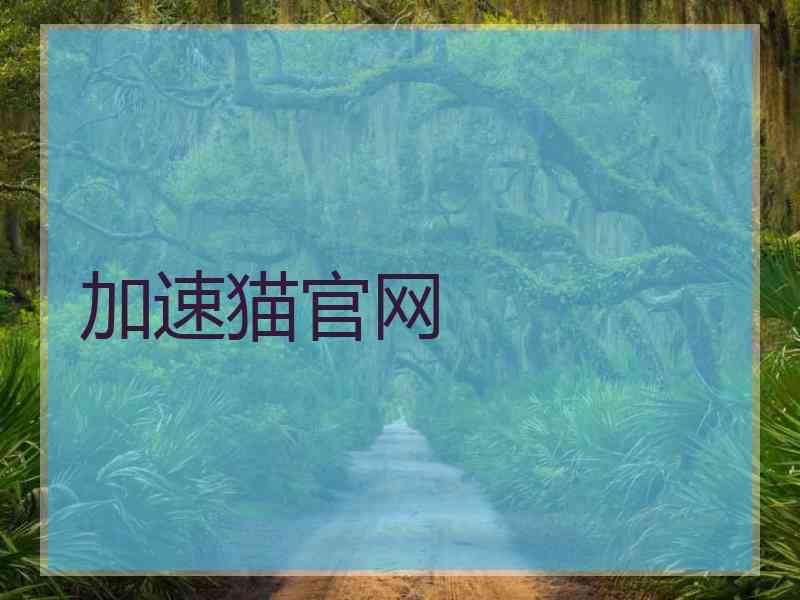 加速猫官网