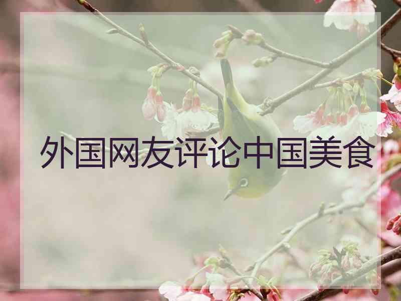 外国网友评论中国美食