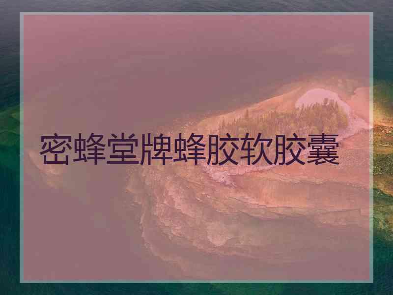 密蜂堂牌蜂胶软胶囊