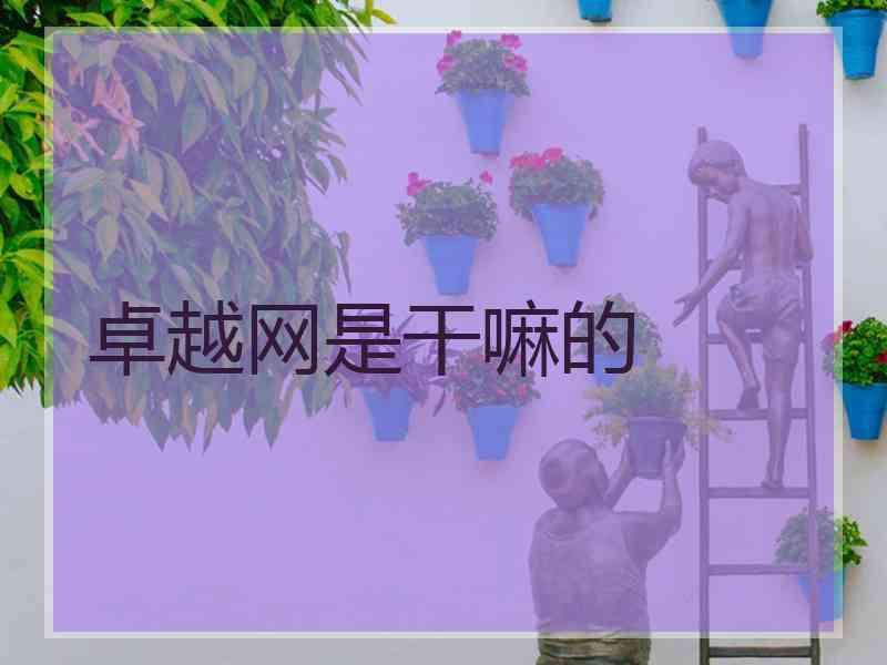 卓越网是干嘛的