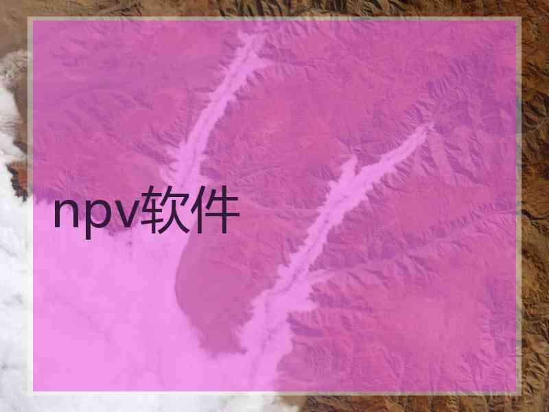 npv软件