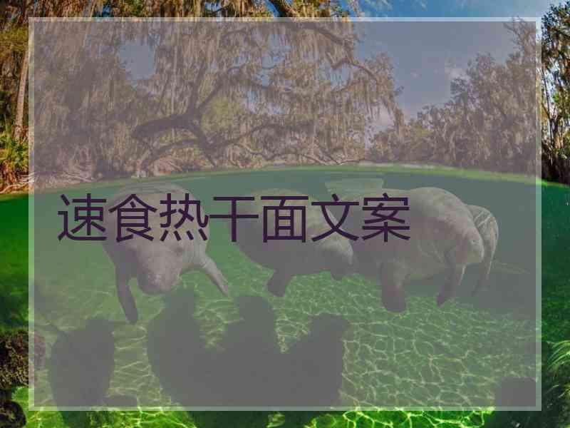 速食热干面文案