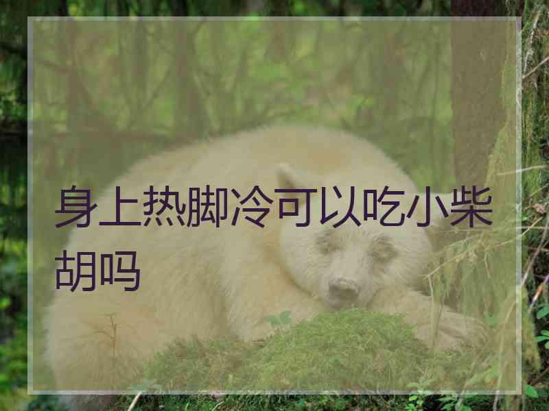 身上热脚冷可以吃小柴胡吗
