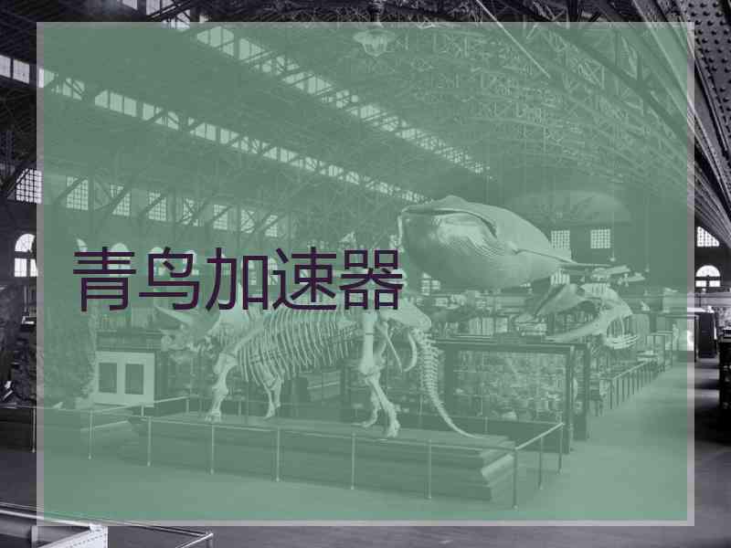 青鸟加速器
