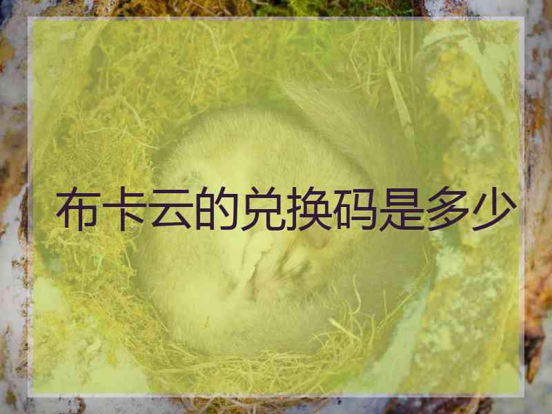 布卡云的兑换码是多少