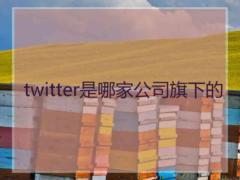 twitter是哪家公司旗下的