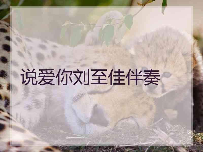说爱你刘至佳伴奏
