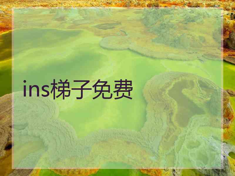 ins梯子免费