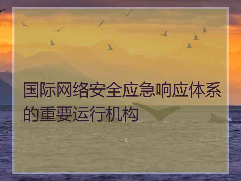 国际网络安全应急响应体系的重要运行机构