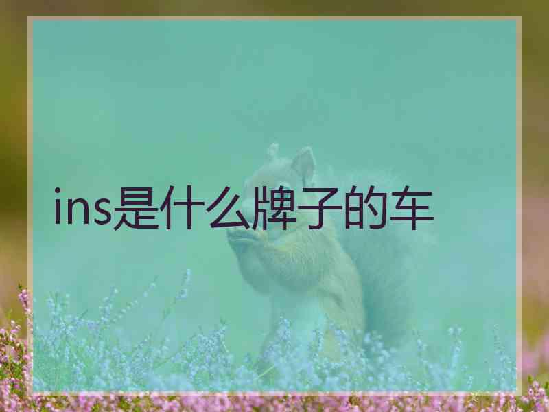 ins是什么牌子的车