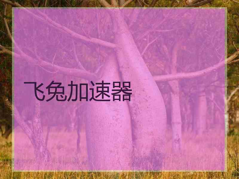飞兔加速器