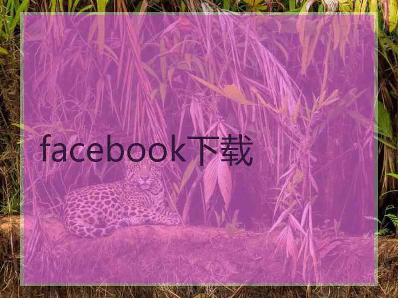 facebook下载