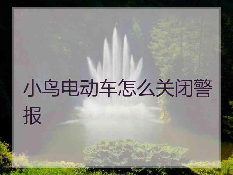 小鸟电动车怎么关闭警报