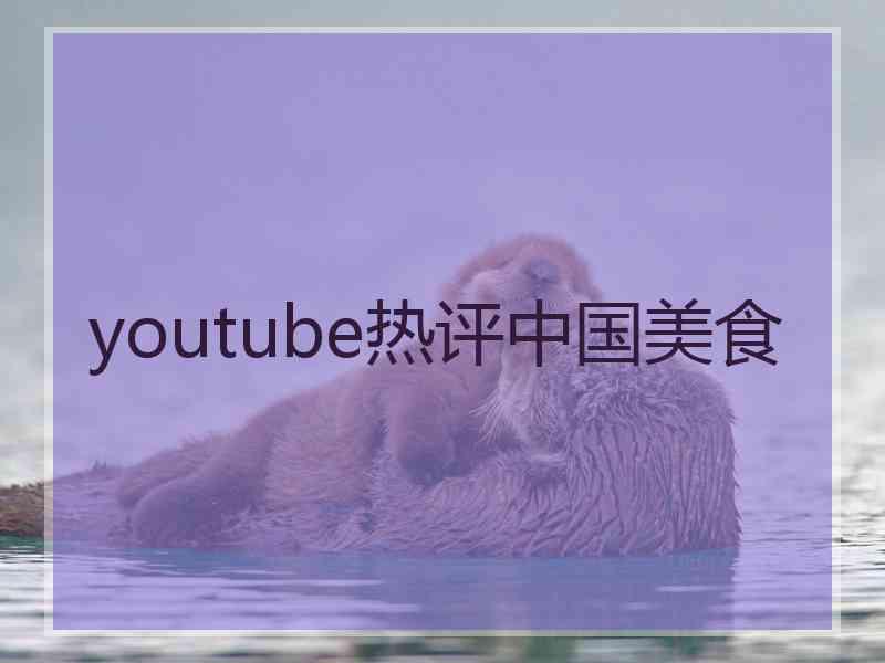 youtube热评中国美食