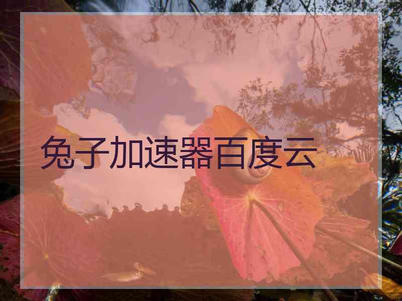 兔子加速器百度云