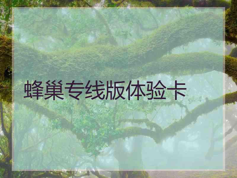 蜂巢专线版体验卡