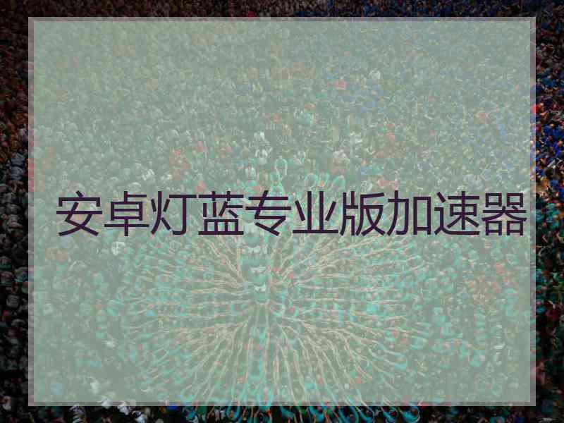 安卓灯蓝专业版加速器