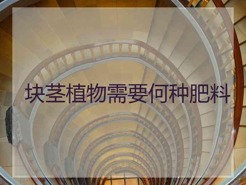 块茎植物需要何种肥料
