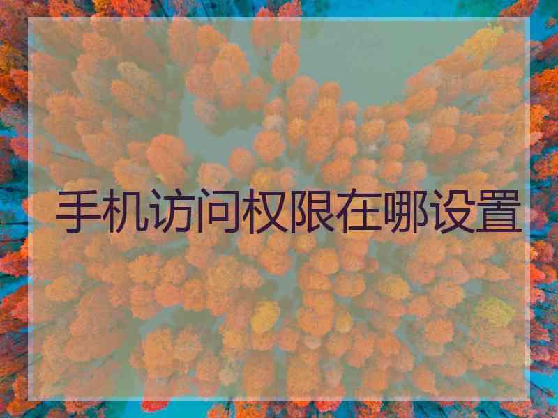 手机访问权限在哪设置