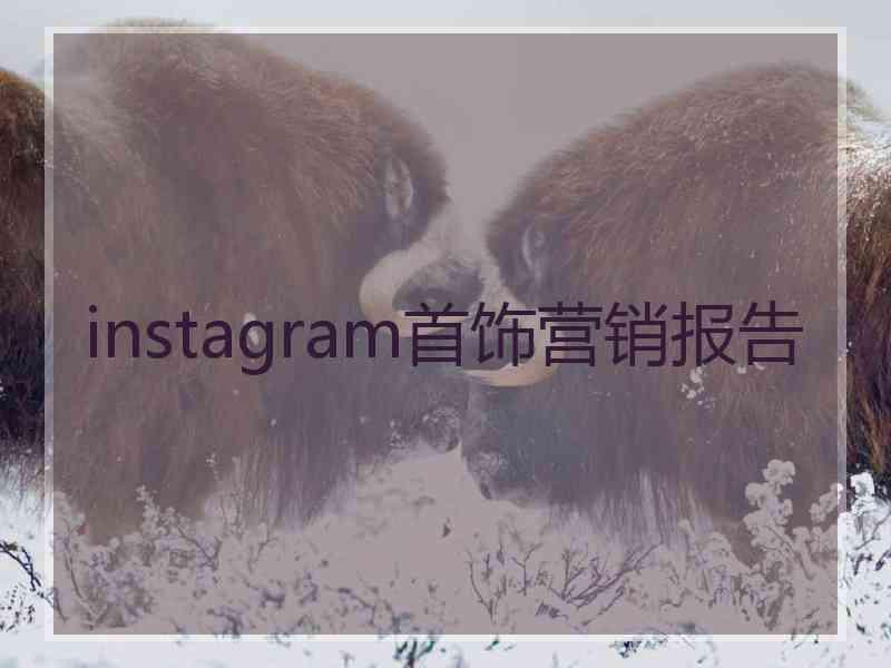 instagram首饰营销报告