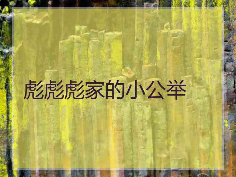 彪彪彪家的小公举
