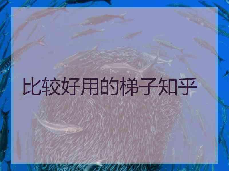 比较好用的梯子知乎