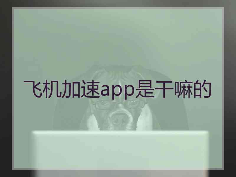 飞机加速app是干嘛的