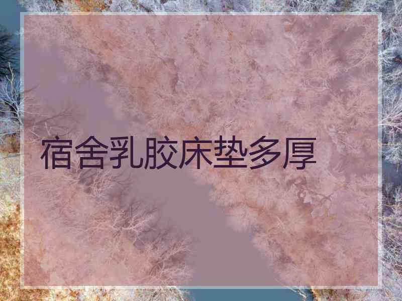 宿舍乳胶床垫多厚