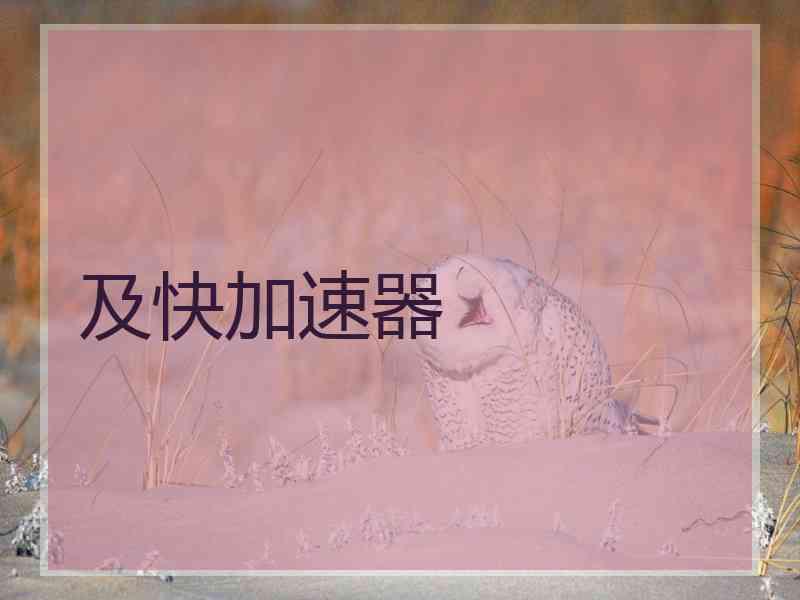 及快加速器